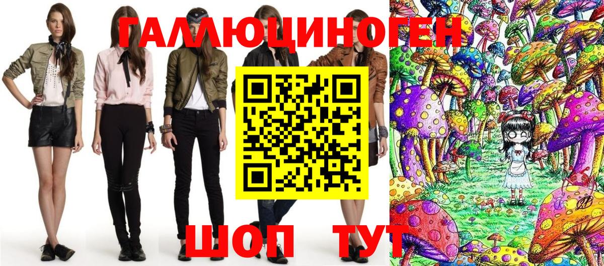Курчалой  как найти   Вход с VPN  Псилоцибиновые грибы мицелий 