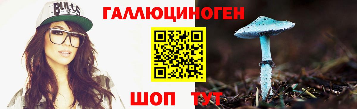 Псилоцибиновые грибы MAGIC MUSHROOMS Курчалой