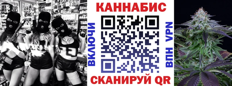 продажа наркотиков  Курчалой  МАРИХУАНА тримм 