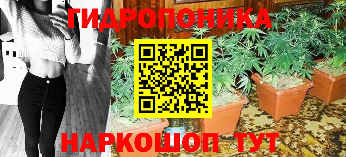 Курчалой  Конопля сатива  Вход с VPN  Бошки Шишки тримм  Марихуана ГИДРОПОН 